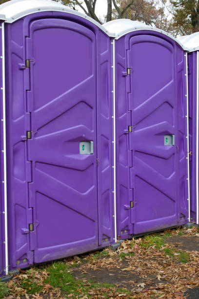 Best Portable Restroom Maintenance and Cleaning in Nicholson, GA