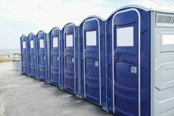 Best Portable Toilets with Baby Changing Stations in Nicholson, GA